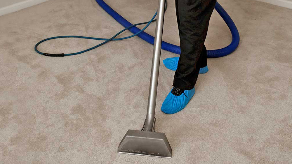 carpet cleaning, cleaning and maintaining carpet flooring